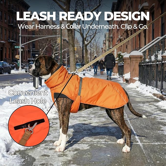 Dog Winter Coat, Warm Puffer Jacket with Fur-Safe Buckle & Leash Hole for Cold Weather, Water-Repellent Snow Vest, Breathable Thermal Apparel for Hiking & Active Dogs (Aurantium, XX-Large)