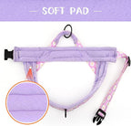 Didog No Pull Dog Harness with Soft Padded, Easy Walk Dog Harness with Quick Release Buckle, Adjustable & Reflective Pet Harness with Soft Padded for Medium Large Dogs (L:Chest 26-33", Purple)