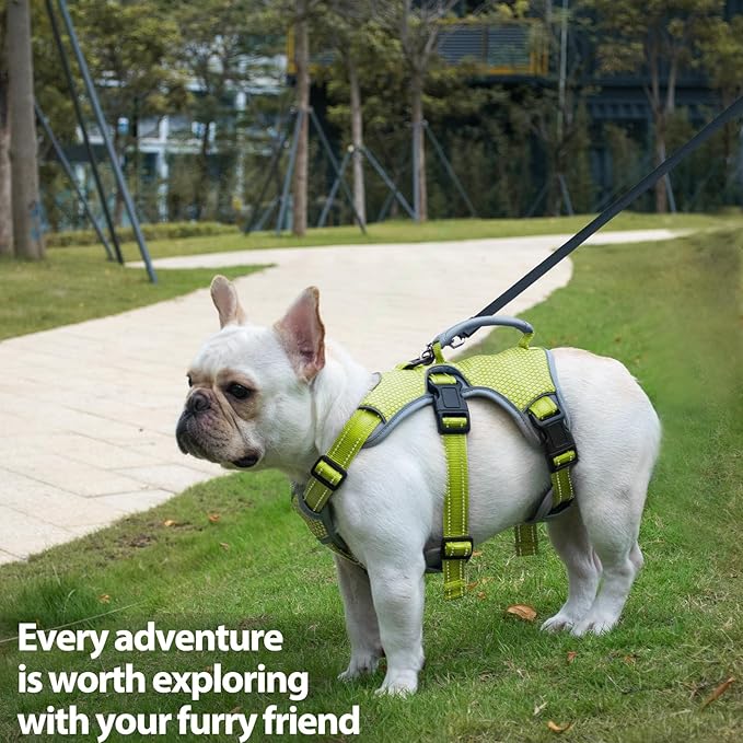 Huntboo Escape Proof Dog Harness, Escape Artist Harness, Reflective Dog Harness with Handle, Durable,Adjustable Vest for Small Medium Large Dogs Walking, Training, and Running Gear(Green,M)