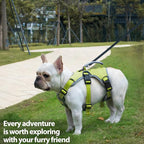 Huntboo Escape Proof Dog Harness, Escape Artist Harness, Reflective Dog Harness with Handle, Durable,Adjustable Vest for Small Medium Large Dogs Walking, Training, and Running Gear(Green,M)