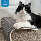 Best Pet Supplies Catify Cat Scratcher, Fun Interactive Scratchers, Posts, Poles, Claw Safe, Furniture Saver Indoor Play Support Natural Cat Behaviors Heavy Duty - Ramp (Cream), 15 x 9