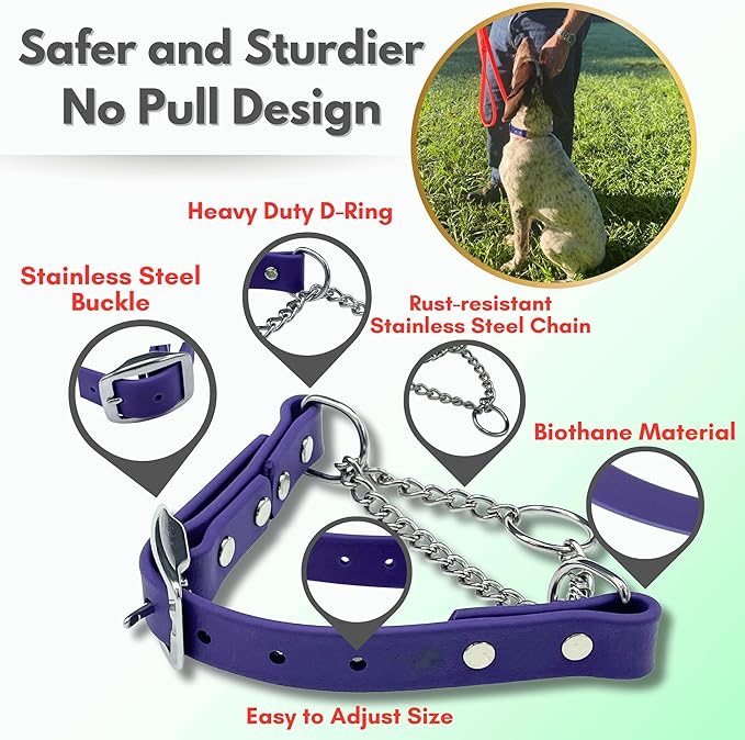 Martingale Collar for Dogs, Biothane, Stainless Steel Hardware, No Pull, Made in The USA, Professional Grade, XXS, Purple
