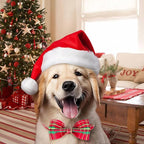 Tunkoo Dog Collar Christmas Shiny Plaid with Bow Tie, Rose Gold Metal Buckle Durable Adjustable Dog Collars - for Small Medium Large Festive Pets Collar, S