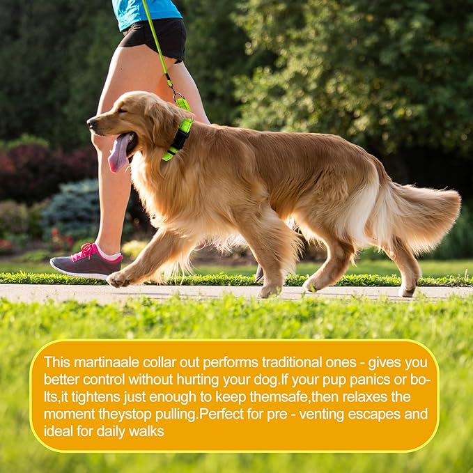 Martingale Collar for Dogs,Reflective Martingale Dog Collars with Quick Release Buckle,Adjustable Nylon No Pull Dog Collar for Walking Training(Azure Blue,Extra Large)