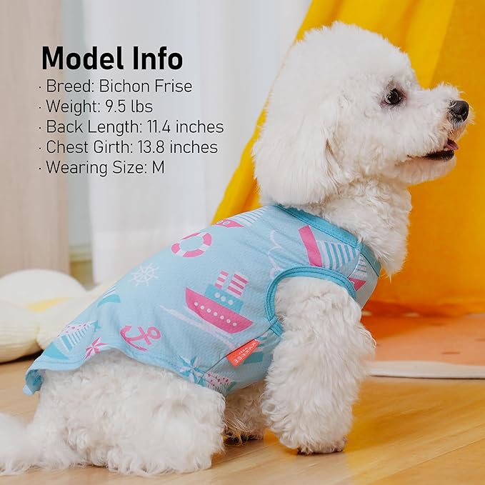 KYEESE 2Pack Dog Cooling Shirt, Breathable Dog Shirt for Small Dogs, Sun Protection Dogs Cooling Vest Tank Top, Lightweight Soft Sleeveless Summer Puppy Clothes, Blue+Grey, S