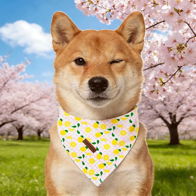 Elegant little tail Dog Bandana, Spring Lemon with Flower 1PC Washable Dog Scarf Female or Male Square Bib Kerchief Scarf Adjustable Pet Bandana for Medium Large Dogs