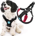 Gooby Sporty Escape Free Harness, Medium - Black, Neoprene, No-Pull, 4-Point Adjustment for Small Dogs up to 35 lbs