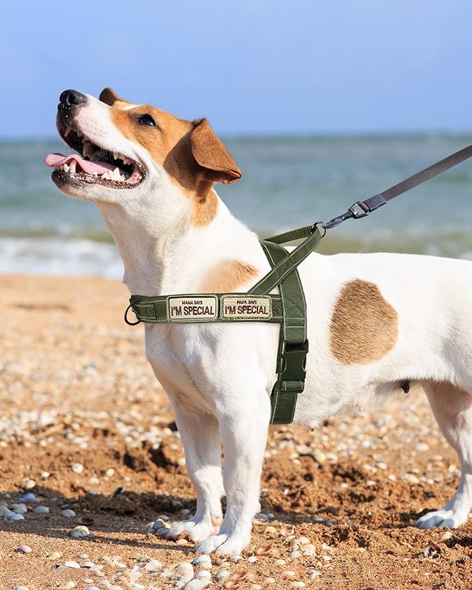 No Pull Dog Harness for Small Medium Large Sized Dogs, Escape Proof Adjustable Dog Harnesses with 2 Patch, Green Camo, S