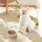 MALACASA Ceramic Dog Food Bowl, 1.5 Cups or 14oz Dog Food Water Dish for Small Breeds, Cats Pet Bowl Dishwasher & Microwave Safe, Honeycomb, Series Lydia