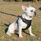 Amazon Basics No-Pull Dog Harness, Adjustable Soft Padded Vest with Reflective Stripes, Medium, Black