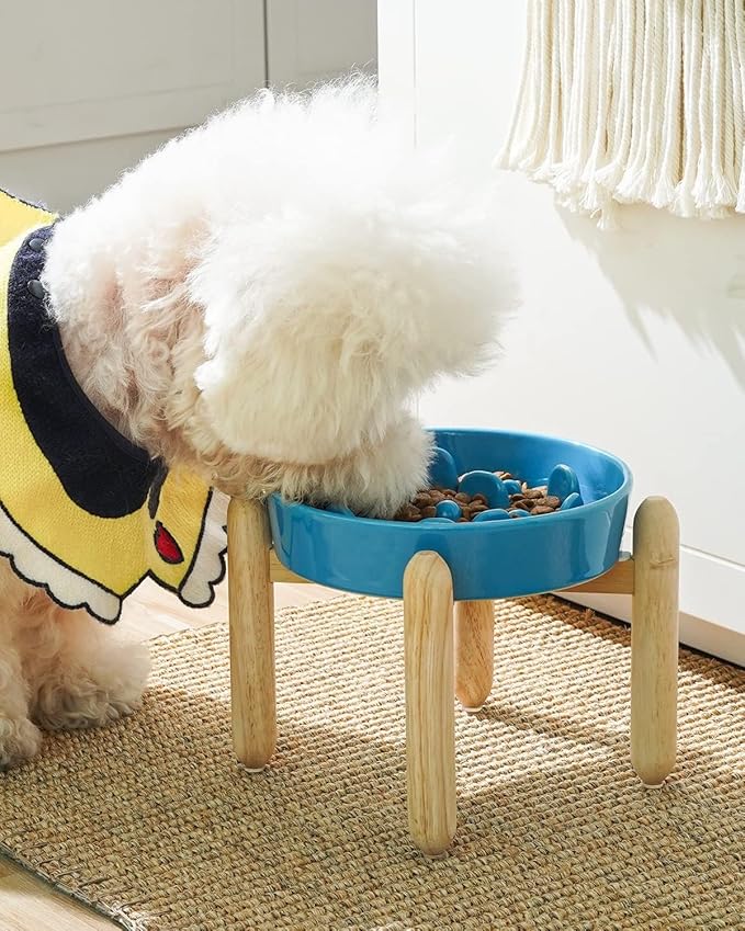 LE TAUCI Ceramic Slow Feed Dog Bowls, Elevated for Small Breeds, 6 inch, Blue, Non-slip