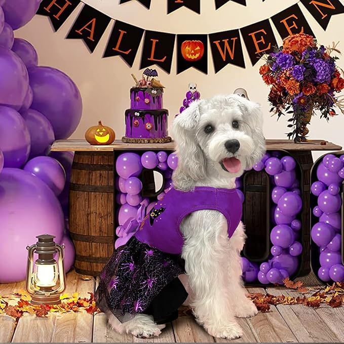 XPUDAC Halloween Dog Dress Witch Tulle Dress Holiday Dog Clothes for Small Dogs Girl, Spider Pet Costume Cat Apparel, Purple-Medium