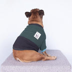 iChoue Pet Dog Crewneck Sweater Color Block Pullover Winter Warm Clothes for French Bulldog Frenchie Pug Puppy - Green and Black/Small