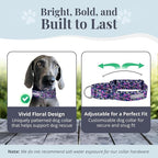 Lucky Love Dog Wide Martingale Dog Collar - No-Slip, Durable, & Soft Webbing 1.5 inch Martingale Collar for Dogs Male and Female Ideal for Training & Walking - Primrose, X-Large