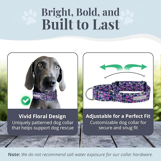 Lucky Love Dog Wide Martingale Dog Collar - No-Slip, Durable, & Soft Webbing 1.5 inch Martingale Collar for Dogs Male and Female Ideal for Training & Walking - Primrose, X-Large