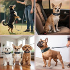 Comfort Fit Dog Collar, Anti-Choke Neck Safe Dog Training Collar, Wide Padded, Breathable, Adjustable with Dual D-Rings, Soft Cushion Neck Protector for Dogs (S, Gray)