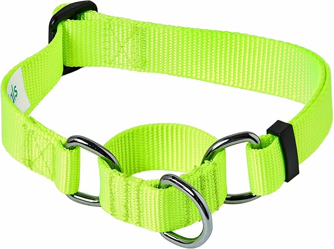 Blueberry Pet Essentials Martingale Safety Training Dog Collar, Highlighter Yellow, Large, Heavy Duty Nylon Adjustable Collars for Dogs