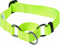Blueberry Pet Essentials Martingale Safety Training Dog Collar, Highlighter Yellow, Large, Heavy Duty Nylon Adjustable Collars for Dogs