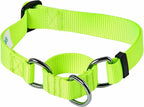 Blueberry Pet Essentials Martingale Safety Training Dog Collar, Highlighter Yellow, Large, Heavy Duty Nylon Adjustable Collars for Dogs