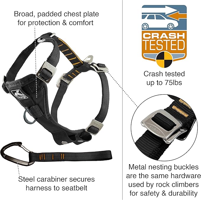 Kurgo Enhanced Strength Tru-Fit Dog Car Harness - Pet Travel Safety Harness - Crash Test Certified Fit - Five Point Adjustment - Secure Buckle - Padded Chest - Charcoal - X-Small