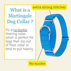 Country Brook Petz - Martingale Dog Collar - Heavy-Duty Training Collar with No Buckle - Service Dog Collar for All Pups - 10+ Cool Colors (Ice Blue, 1 Inch, Extra Large)
