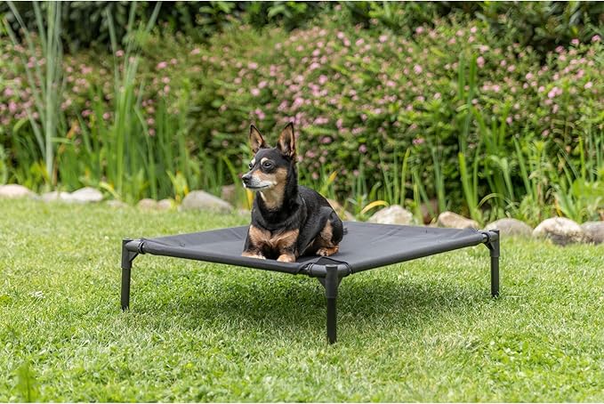 Trixie 2-in-1 Dog House and Bed - Elevated Indoor/Outdoor Tent with Removable Cover - Waterproof and Sun-Resistant - for Small/Medium Dogs up to 55 lbs - 30.7 x 24.4 x 32.3 in