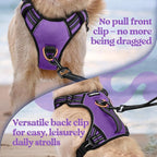rabbitgoo Dog Harness for Large Dogs, No Pull Pet Harness with Soft Padded Handle, Adjustable Reflective Vest with 3 Buckles, Easy Walking Harness with 2 Leash Clips, Purple, L
