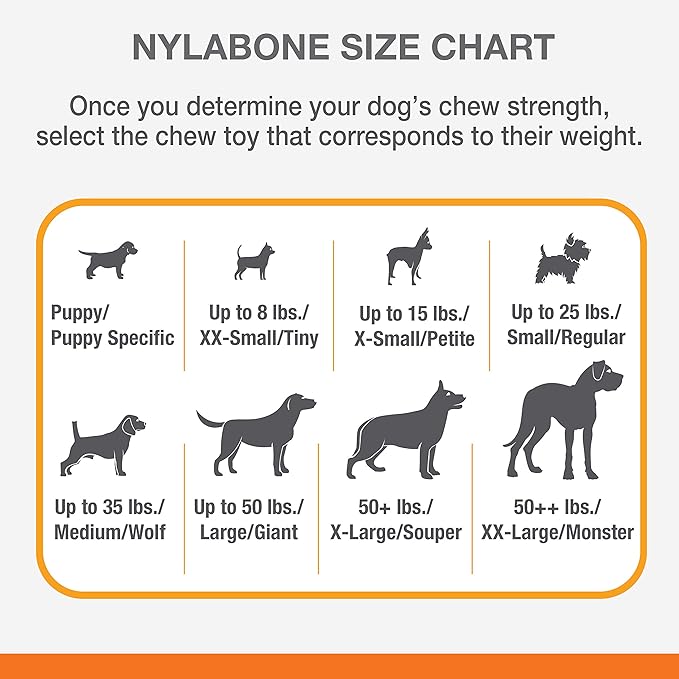 Nylabone Femur Bone Alternative Power Chew Toy for Dogs, Dog Toys for Aggressive Chewers, Beef Flavor, Large - Up to 50 lbs, 1 Count