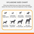 Nylabone Femur Bone Alternative Power Chew Toy for Dogs, Dog Toys for Aggressive Chewers, Beef Flavor, Large - Up to 50 lbs, 1 Count