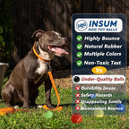 Squeaky Tennis Balls for Dogs - Bulk 50 Pack 2.5'' Durable Non-Toxic Outdoor Dog Toys Balls with Mesh Bag, SGS Certified, Colorful Fetch Toys, Medium Large Breeds