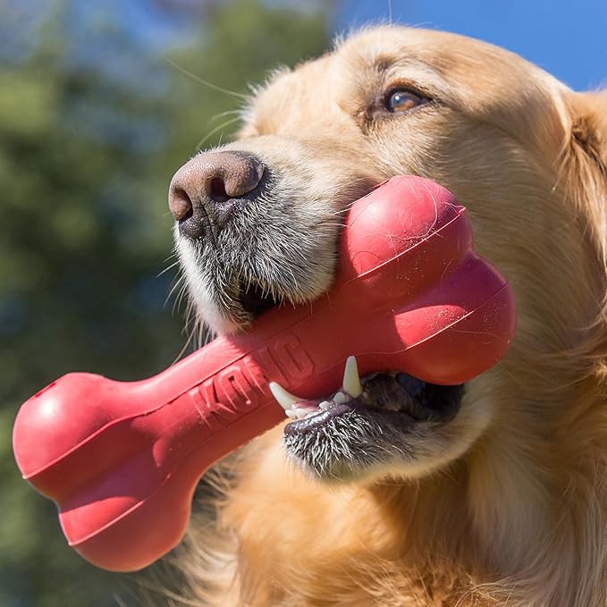 KONG Goodie Bone - Classic Durable Natural Rubber Dog Bone, Supports Mental Engagement - Treat Dispensing - Red - for Large Dogs