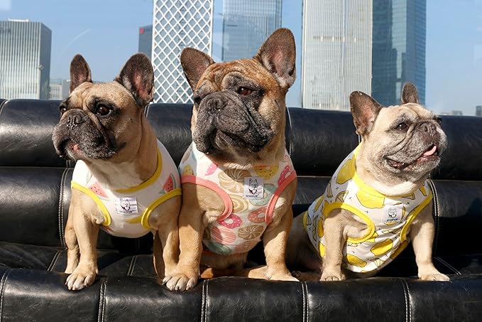 iChoue 100% Breathable Cotton English Bulldog Halloween Cartoon T Shirts Cute Clothes for Medium Large Dogs Vest Tank Tops Terrier Pitbull Lemon - XXLarge