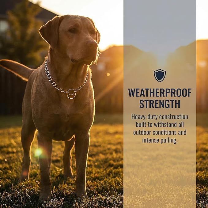 Dog Choke Collar Dogs Chain Choker Link Training Collar Pet Metal Slip Puppy Heavy Duty Martingale Collars for XS Small Medium Large Big XL Breed Dogs (Silver, L)