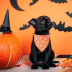 ADOGGYGO 4 Pack Halloween Dog Bandana, Pumpkin Ghost Dog Scarf Bib, Puppy Halloween Bandanas Costume Accessories for Small Dogs (Small)