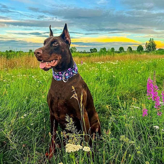 Martingale Dog Collars for Large Dogs, 1.5 Inches Wide and Thick Dog Collars with Bull Flower Design, Perfect Collar for Dogs with Larger Heads & Necks (M)