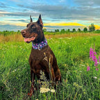 Martingale Dog Collars for Large Dogs, 1.5 Inches Wide and Thick Dog Collars with Bull Flower Design, Perfect Collar for Dogs with Larger Heads & Necks (XL)