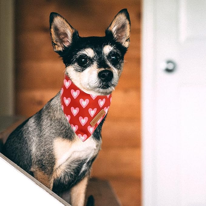 Realeaf Valentine's Day Dog Bandanas 2 Pack, Triangle Reversible Love Pet Scarf for Boy and Girl, Premium Durable Fabric, Holiday Mothers Day Bandana for Large and Extra Large Dogs (X-Large)