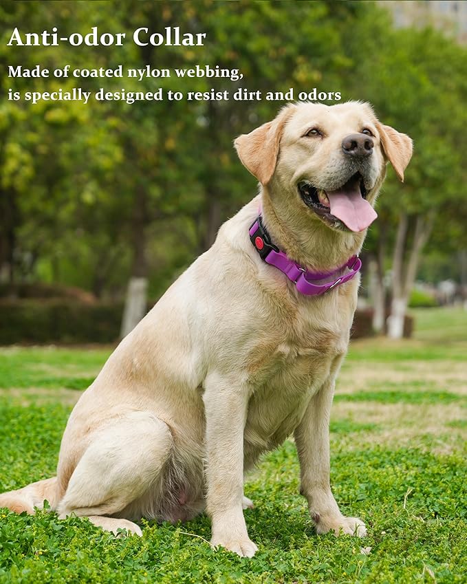 Waterproof Martingale Collar for Dogs,Easy to Clean Dog Collars with Safety Quick Release Buckle,Rubber Collar for Medium Large Dogs Walking Training (Purple, L (19.6-25.9inch))