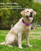 Waterproof Martingale Collar for Dogs,Easy to Clean Dog Collars with Safety Quick Release Buckle,Rubber Collar for Medium Large Dogs Walking Training (Purple, S (13.4-16.5inch))