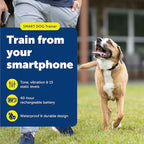 PetSafe Smart Dog Trainer - App Controlled Dog Collar for Training - Bluetooth Wireless System - Adjustable Fit Collar with Safe Stimulation & Multiple Correction Levels