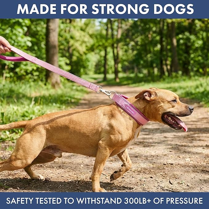 Spark Paws Martingale Dog Collar – Cushioned Slip-On Training Collar, Heavy Duty, Safety-Tested No-Buckle Collar for Medium & Large Dogs - Pink - C