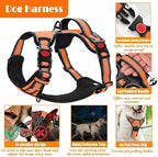 No Pull Dog Harness, Collar & Leash Set | Includes Dog Seat Belt, Collapsible Bowls & Poop Bag Dispenser. Ideal for Training, Walking, Hiking. Fits Small to Large Dogs(Orange-XL)