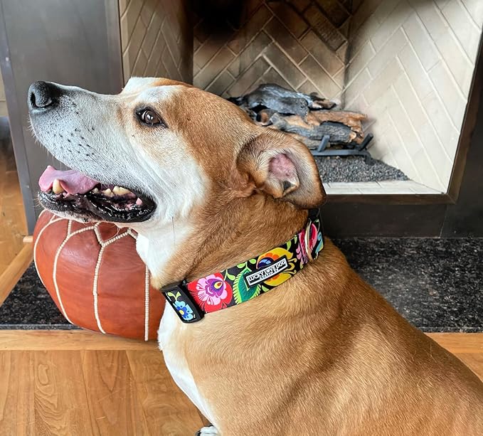 Lucky Love Dog Wide Dog Collar - Adjustable, Durable, Soft Webbing, & Comfortable 1.5 inch Wide Collar for Dogs Male and Female with Strong Buckle - Blackbird, Medium