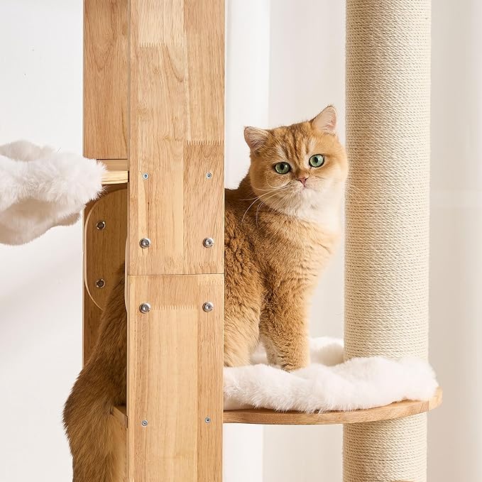 HITTITE Solid Wood Cat Tree Tower with Scratching Post, 64 Inches Tall Cat Towers with Scratching Board, Modern Cat Tower with Space Capsule and Removable Top Bed for Indoor Cats