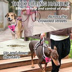 PUPTECK Escape Proof Dog Harness with Padded Handle, No Pull Pet Vest Harness Durable Reflective for Medium Large Dogs Walking Training and Running, Pink, M
