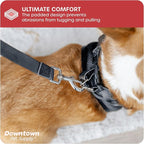 Downtown Pet Supply Step-in Dog Harness – No Pull, Adjustable Padded Mesh with Reflective Trim, Secure Buckle Strap – Comfortable & Breathable Small Dog Harness, Small, Charcoal