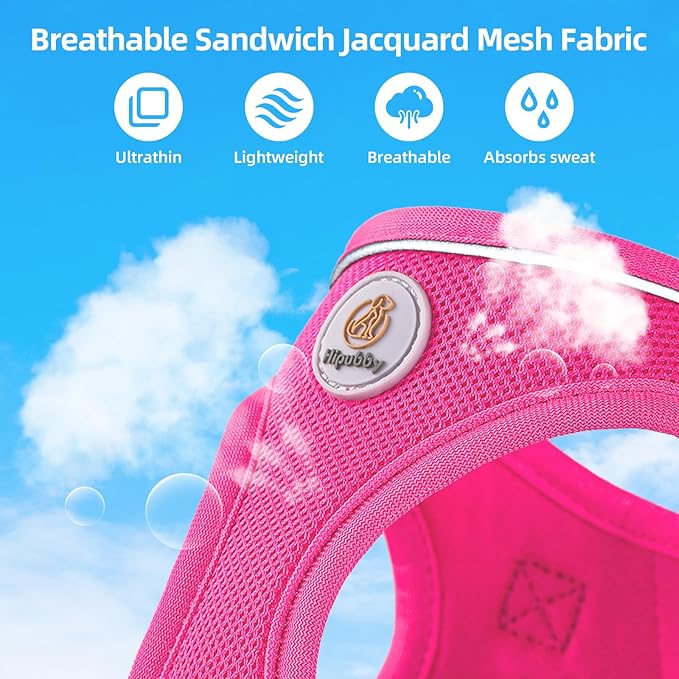Hipubby Dog Harness and Leash Set, No Pull Soft Mesh Puppy Harness for Small Medium Dogs, Cats - Step in Reflective Breathable Lightweight Vest Harness for Walking, Training - Rose Red, M