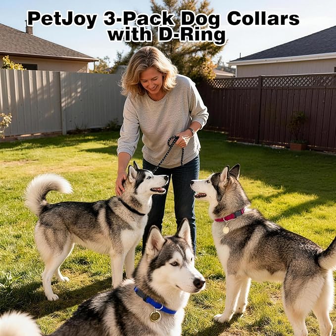 PetJoy Shock Collar Replacement Strap, Dog Replacement Training Collars with D-Ring, 3 Pack Adjustable Nylon Dog Collar Strap for Small, Medium & Large Dogs