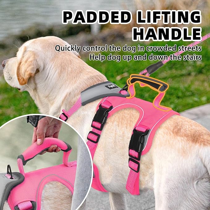 PUPTECK Escape Proof Dog Harness and Leash Set Upgraded No Pull Reflective Dog Vest with Lift Handle, Easy Control Pet Harness for Medium Large Dogs Training Walking Running, Fuchsia, L