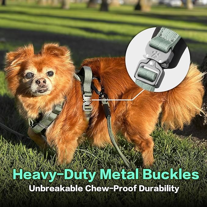 PawsPassion Dog Harness for X-Large Dogs, No Pull Dog Harness Easy Walk with Metal Hardware, Ergonomic Y-Shaped Design, Soft Padding, Padded Handle, Durable High-Tensile Nylon (Seabreeze, XL)